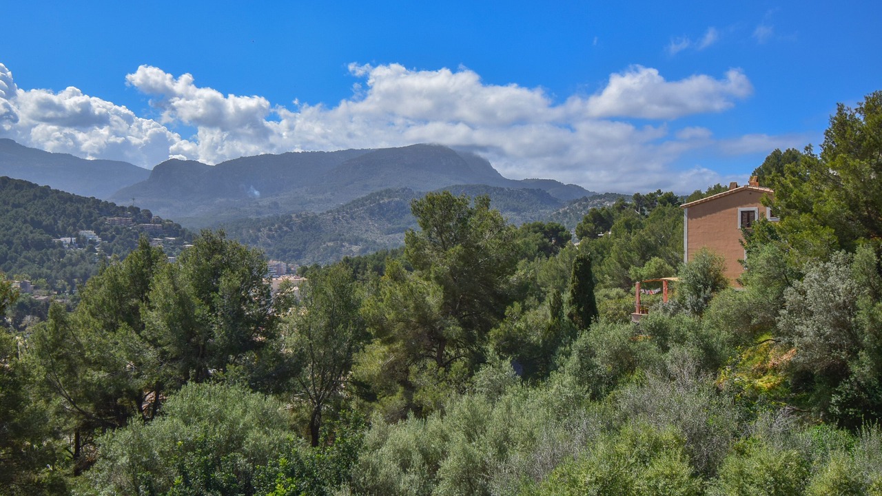 Photo of Others in Soller