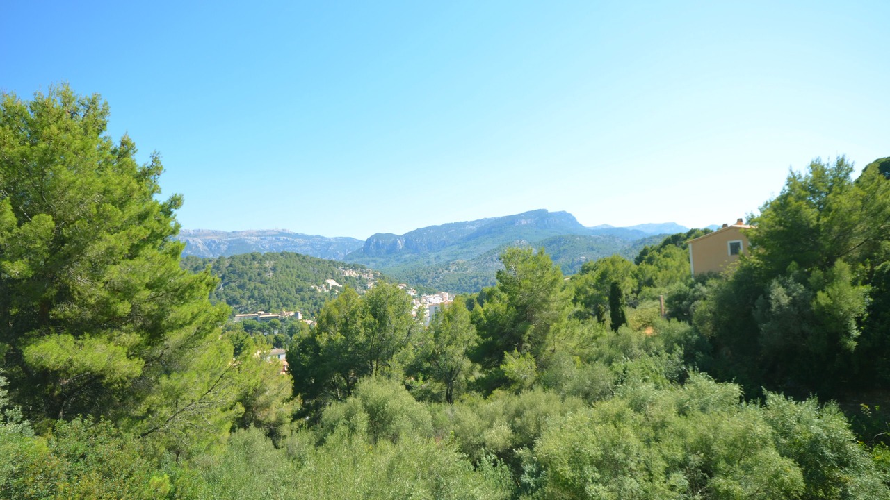 Photo of Outdoor in Soller