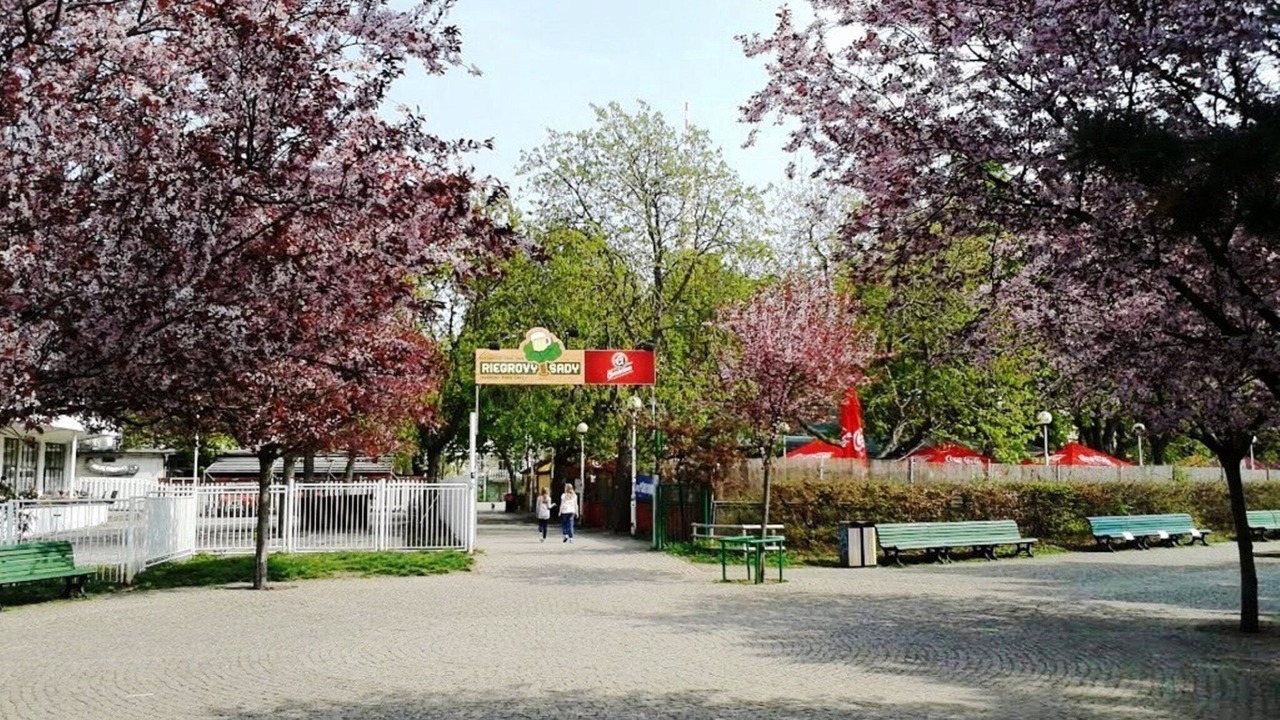 Photo of Outdoor in Vinohrady