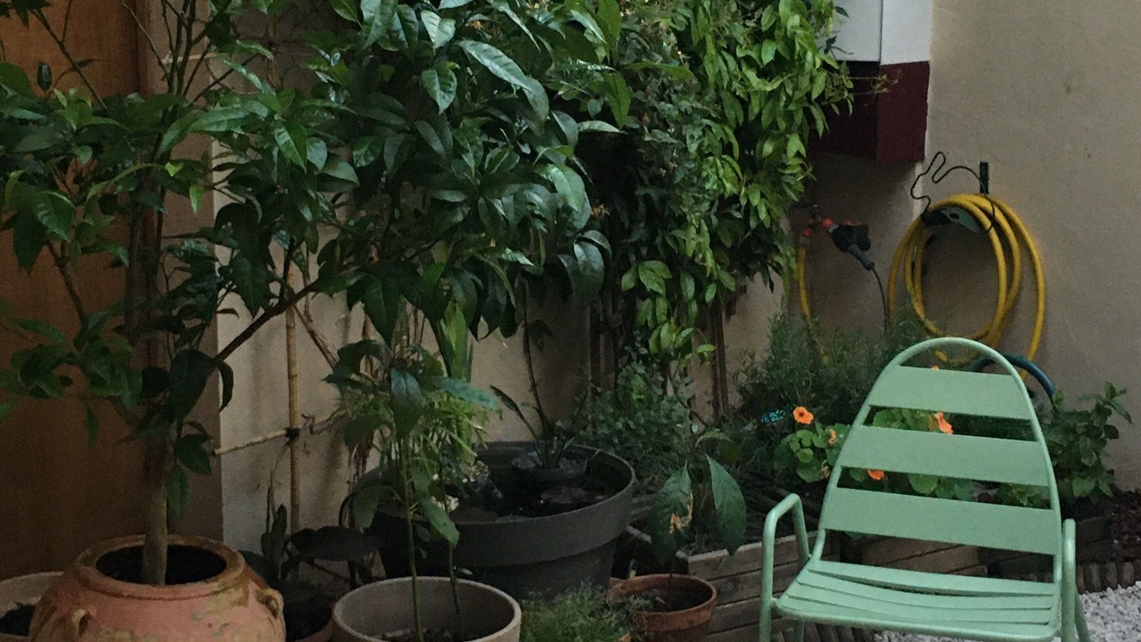 Photo of Outdoor in Saint-Andre-de-Sangonis