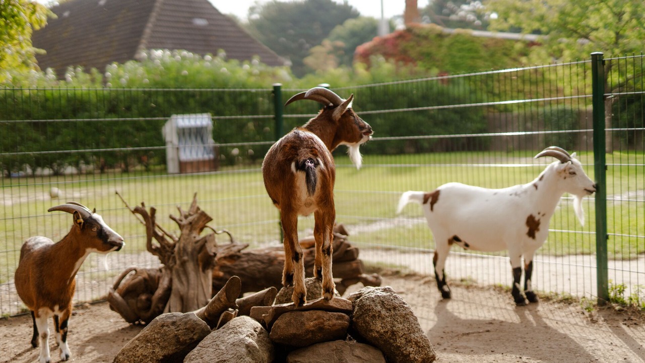 Photo of Others in Staberdorf