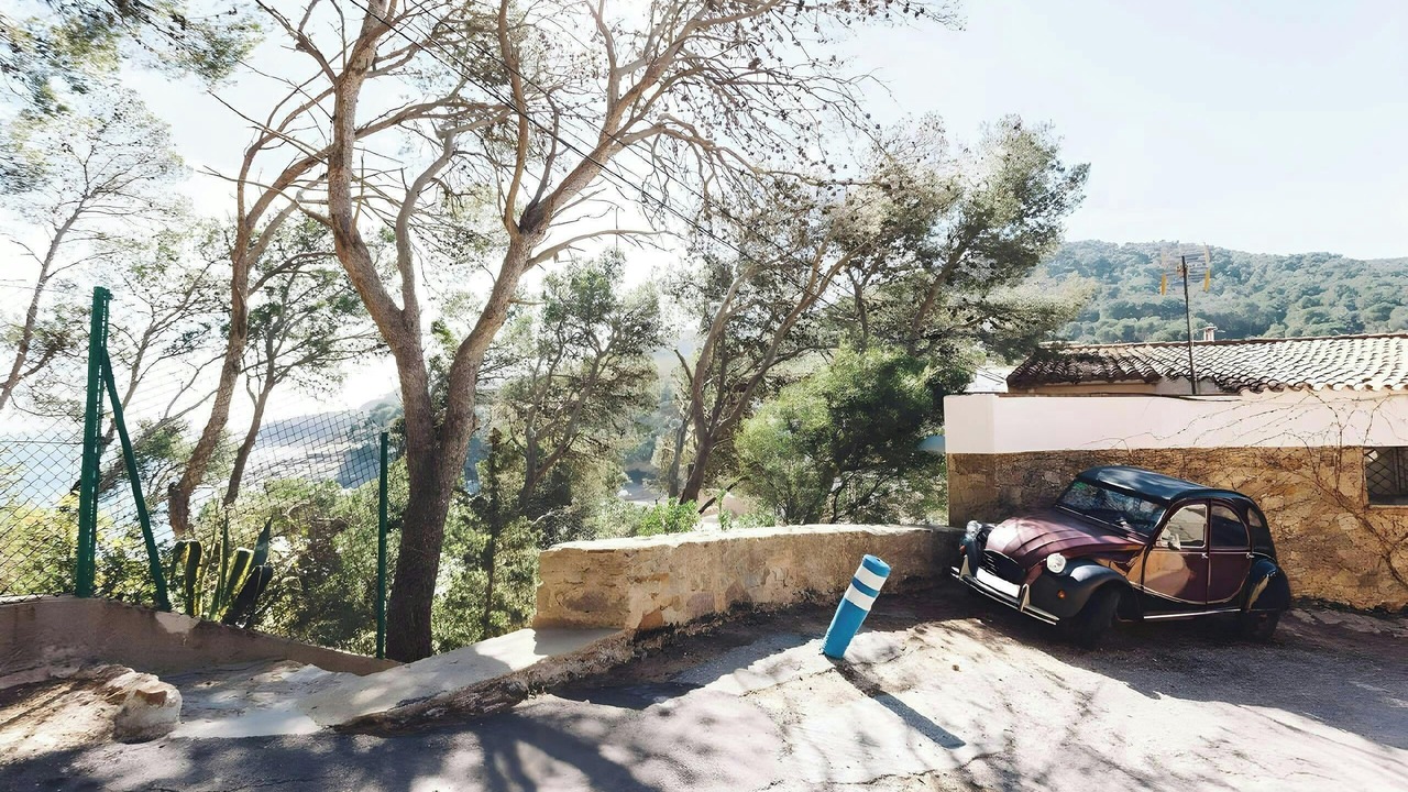 Photo of Others in Tamariu