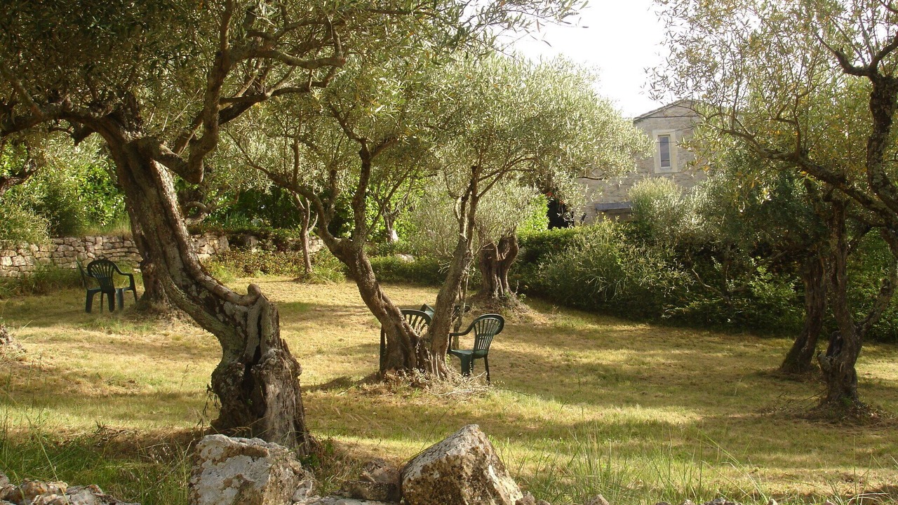Photo of Outdoor in Barjac