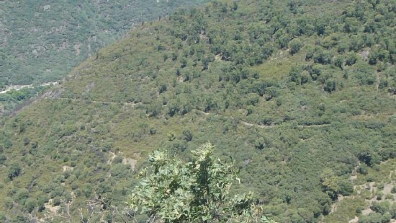 Photo of Others in Odollo