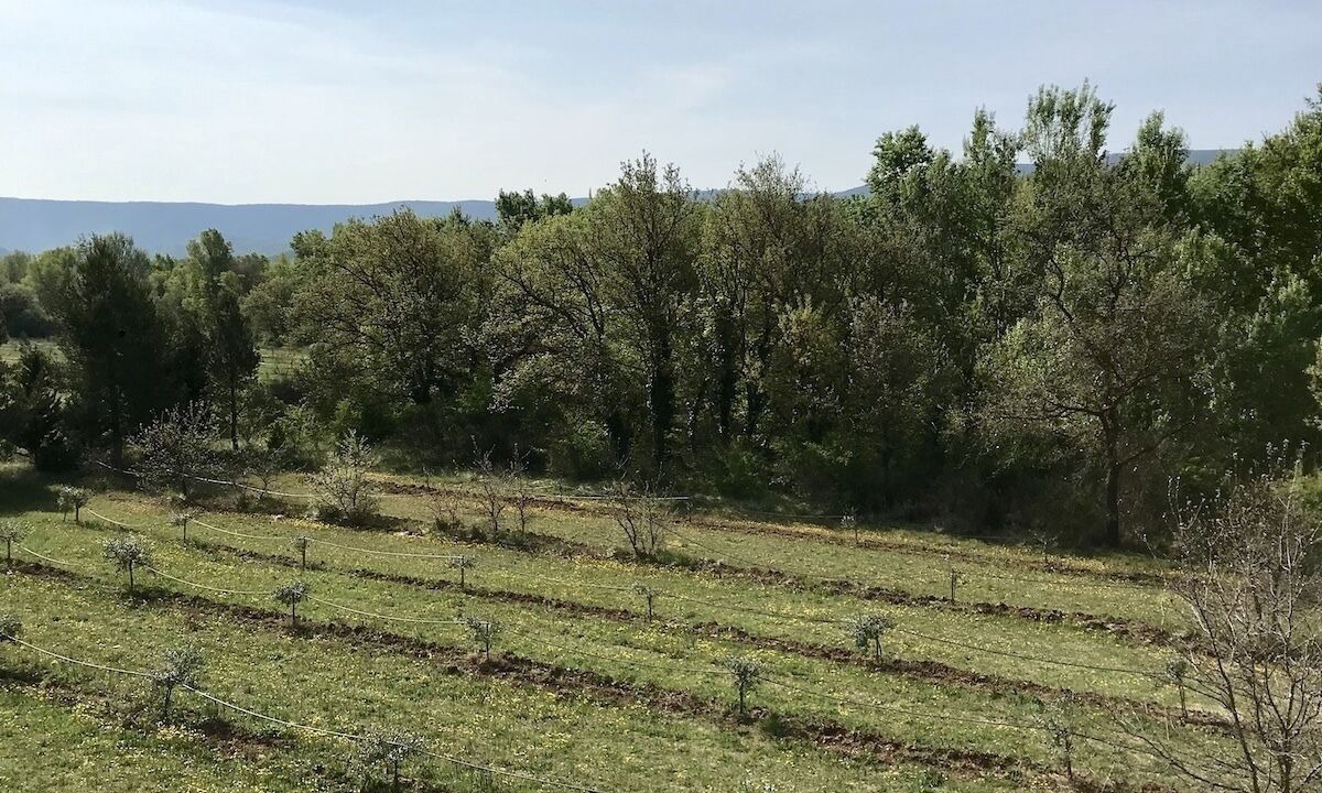 Photo of Outdoor in Oppede