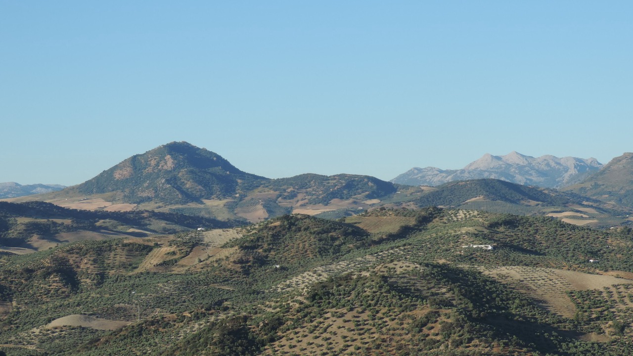 Photo of Outdoor in Olvera