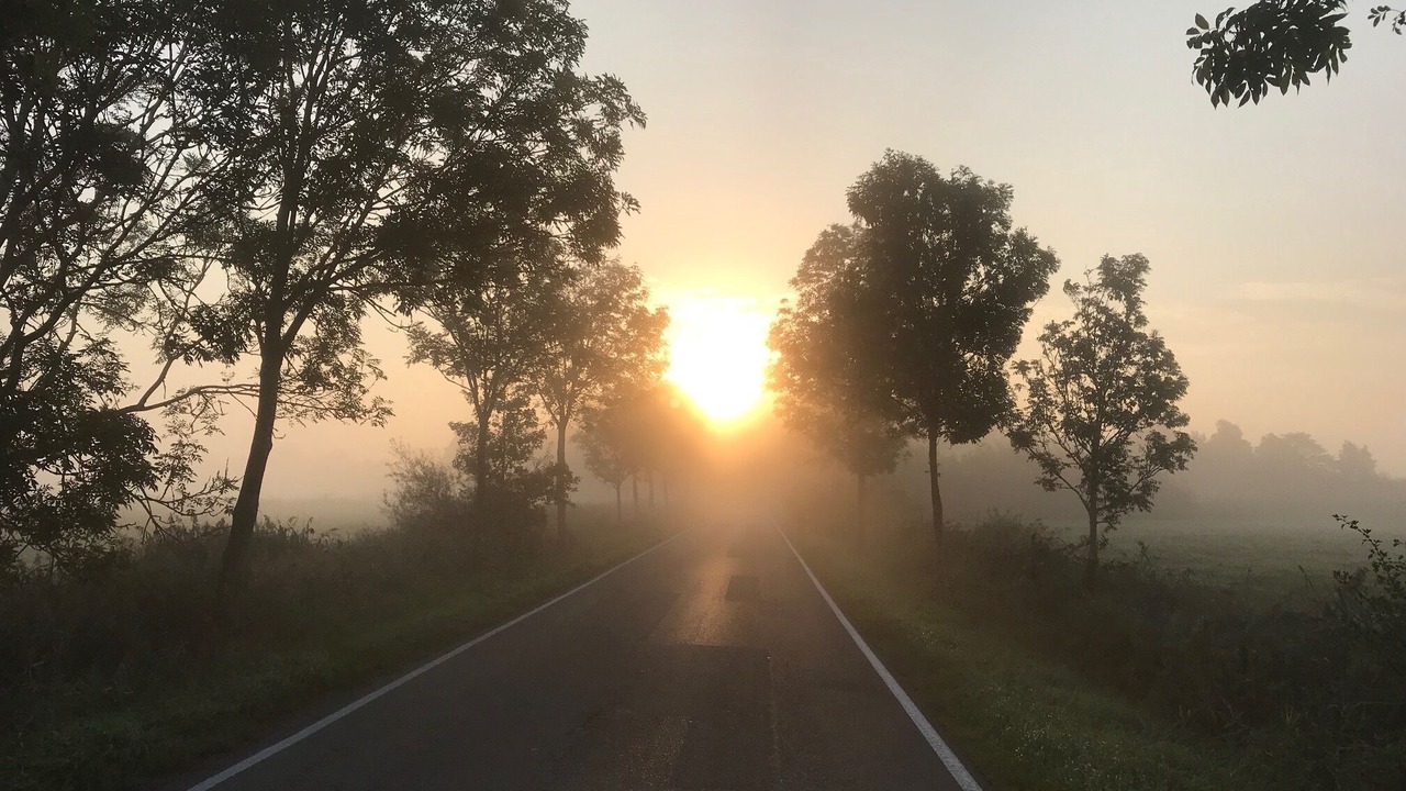 Photo of Outdoor in Oldenswort