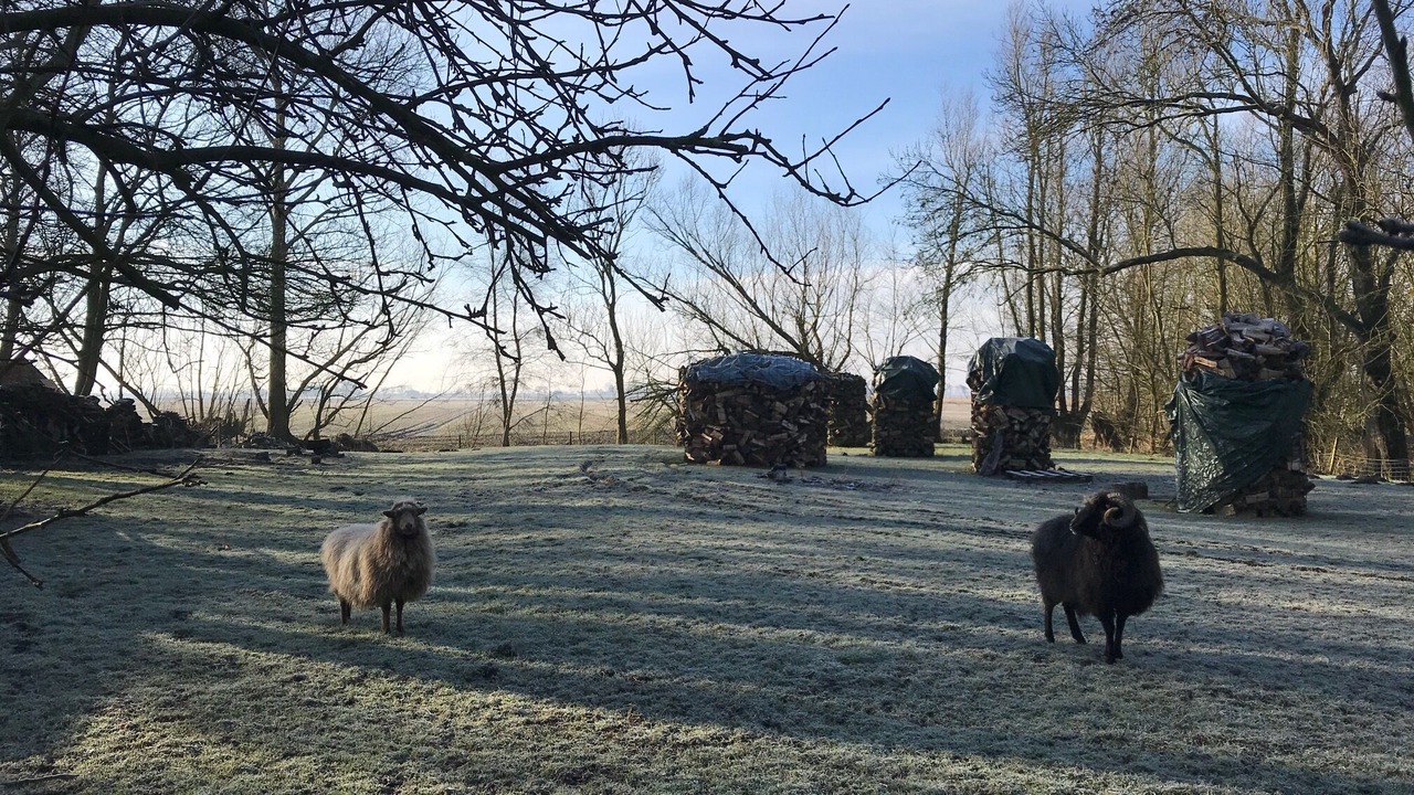 Photo of Outdoor in Oldenswort