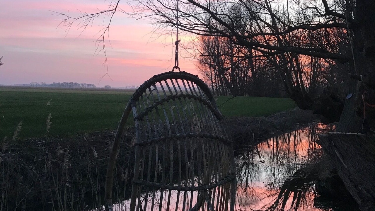 Photo of Others in Oldenswort