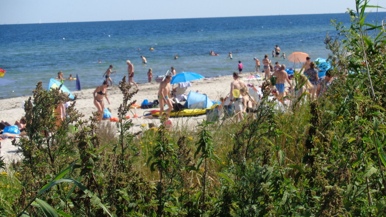 Photo of Others in Pommerby