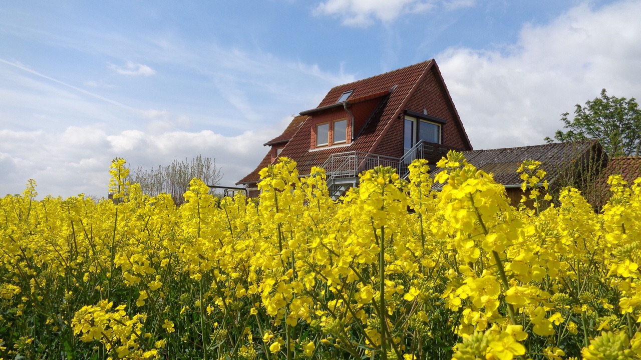 Photo of Outdoor in Pommerby