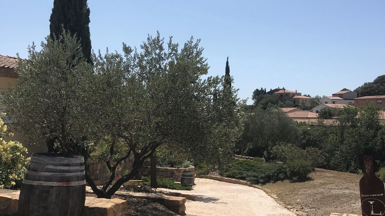 Photo of Outdoor in Peret