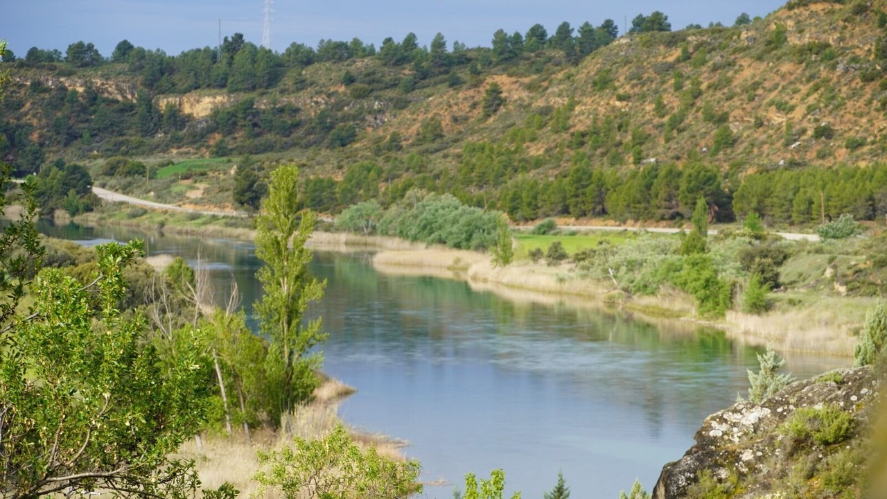 Photo of Others in Sayaton