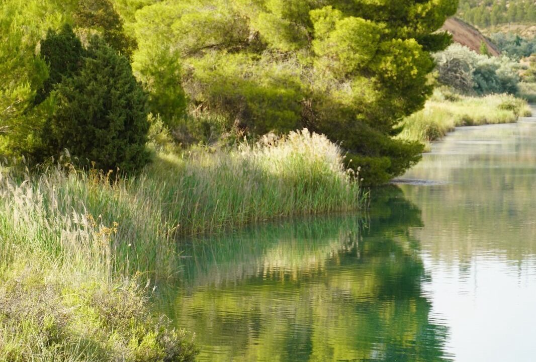 Photo of Outdoor in Sayaton