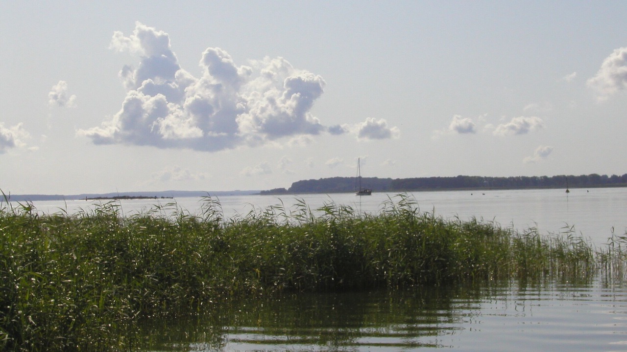 Photo of Others in Sauzin