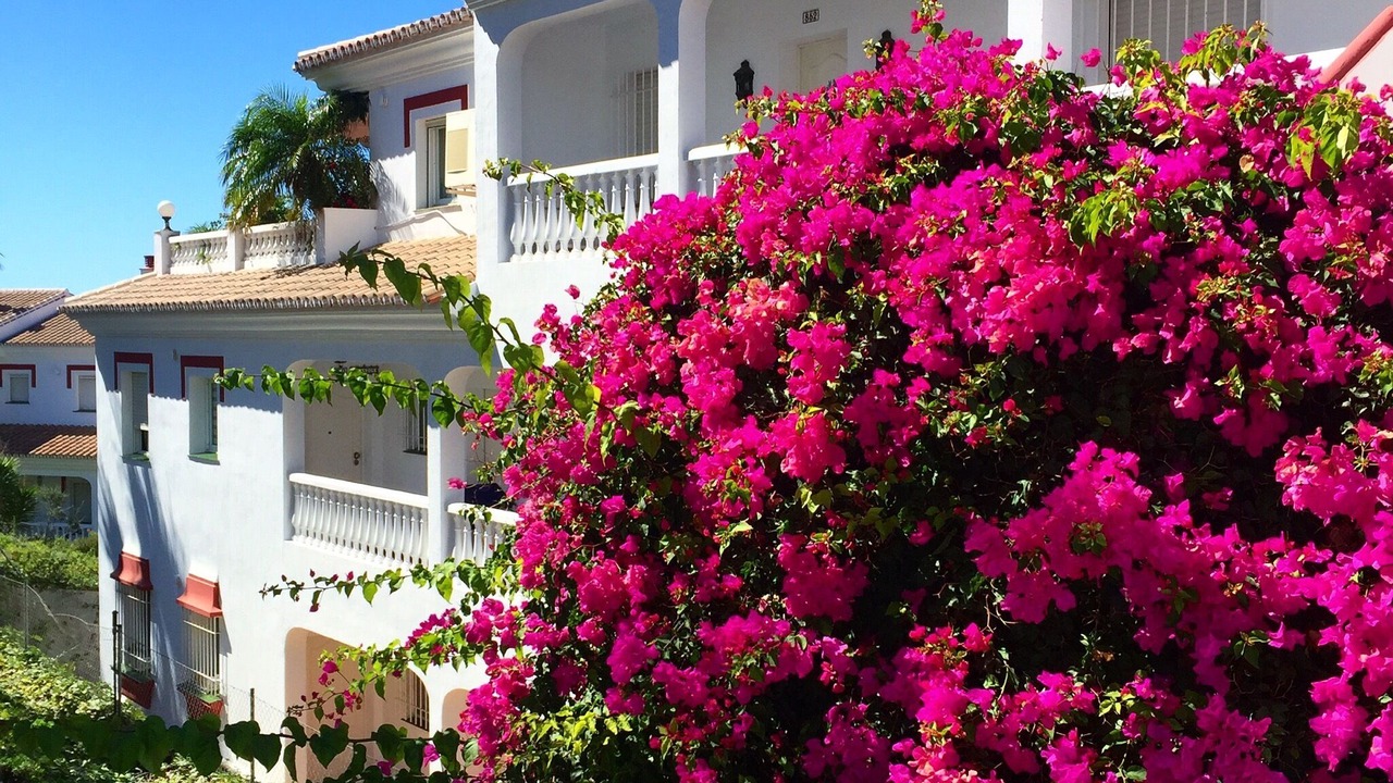 Photo of Outdoor in Torrox Costa