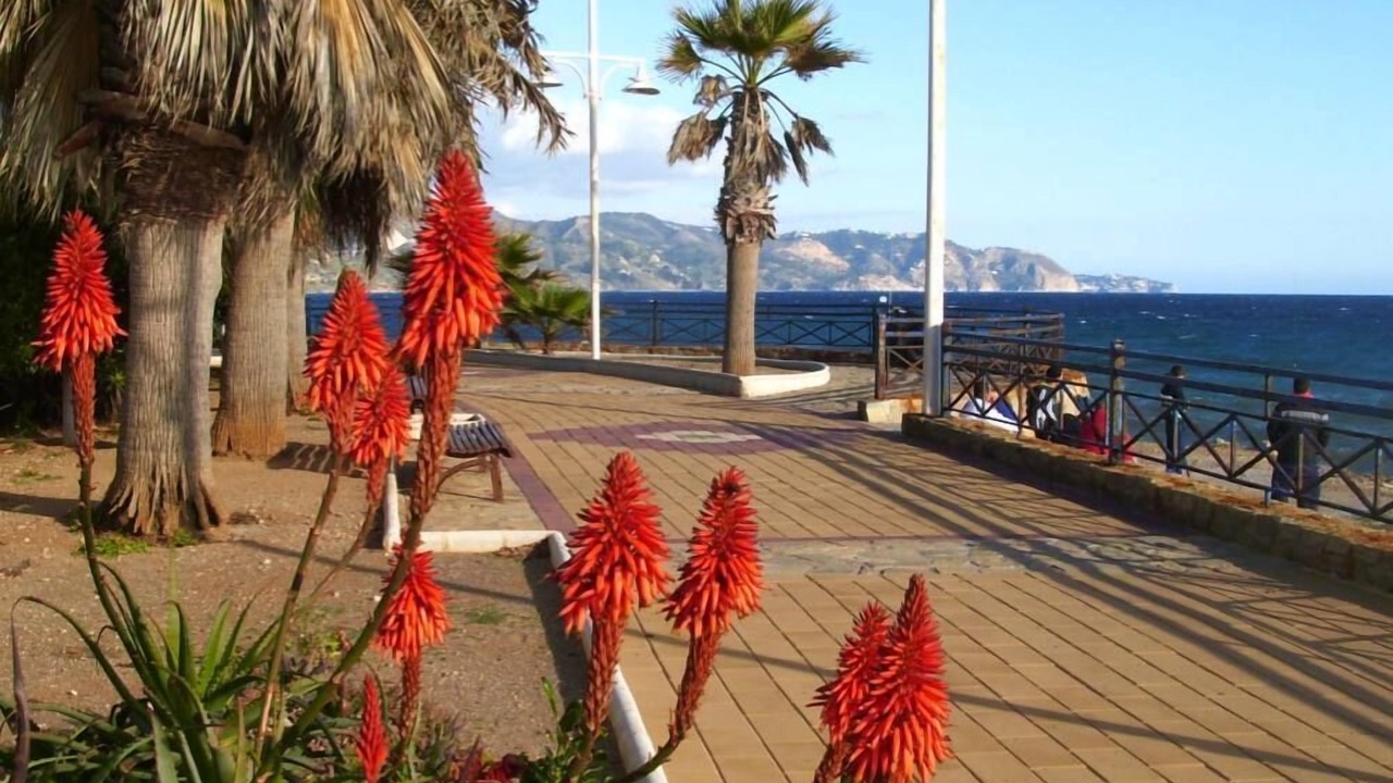 Photo of Others in Torrox Costa