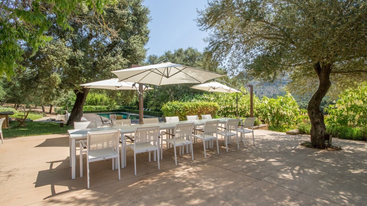 Photo of Others in Alcudia