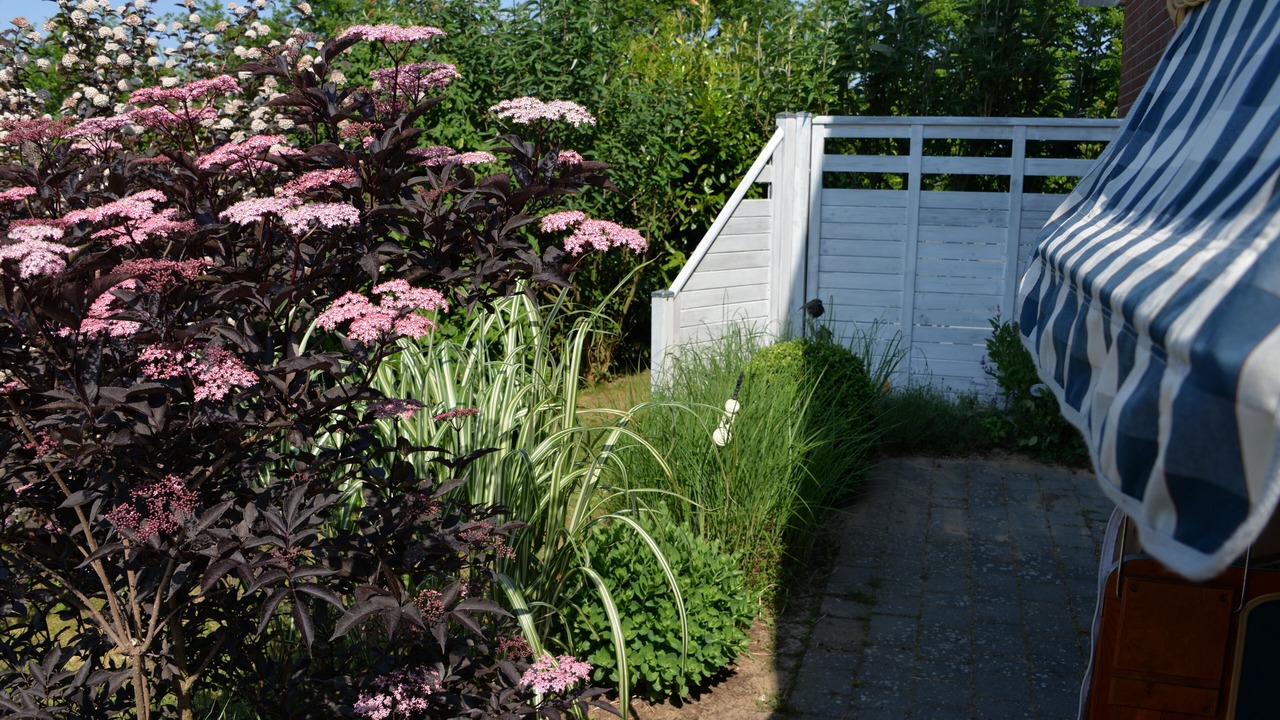 Photo of Outdoor in Ueckeritz
