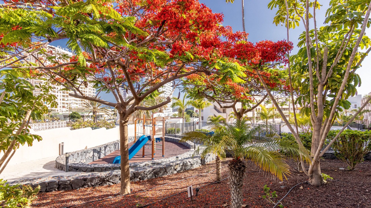 Photo of Outdoor in Playa Paraiso