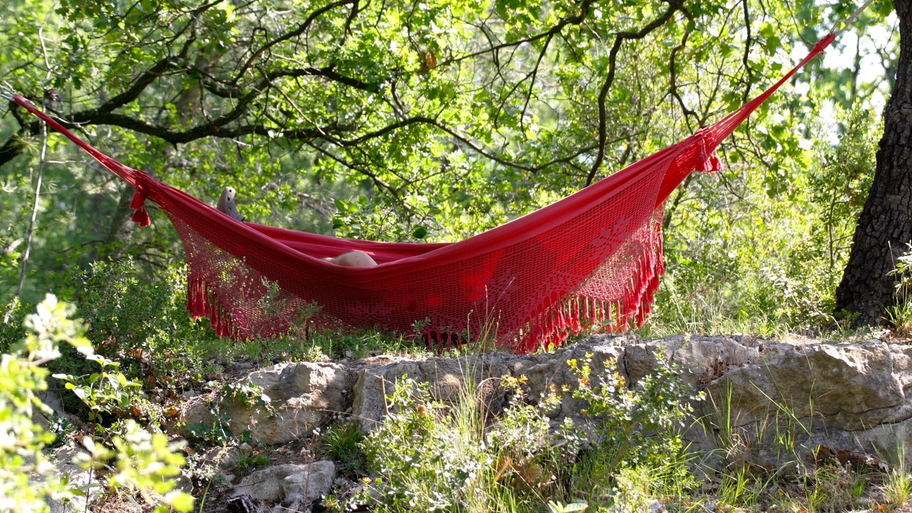 Photo of Outdoor in Mimet