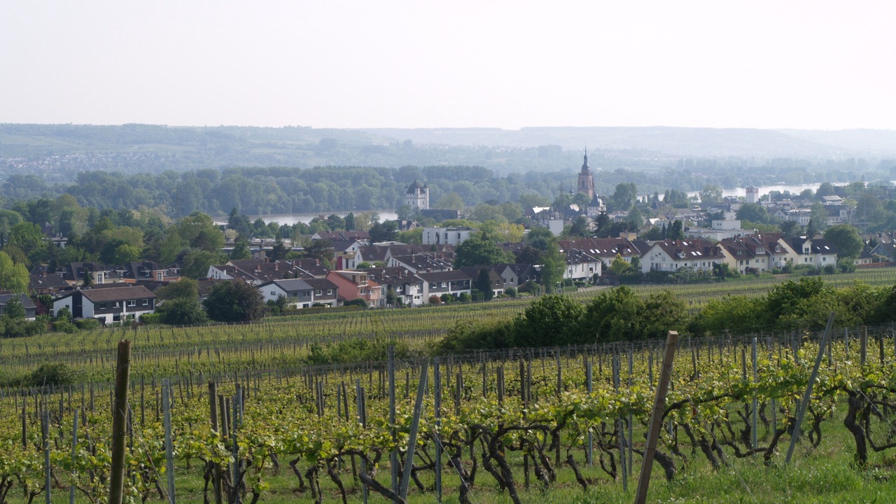 Photo of Outdoor in Walluf