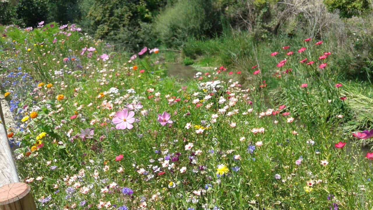 Photo of Outdoor in Fozieres