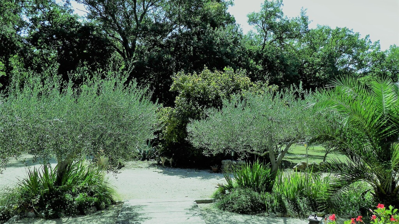 Photo of Outdoor in La Roque-sur-Ceze