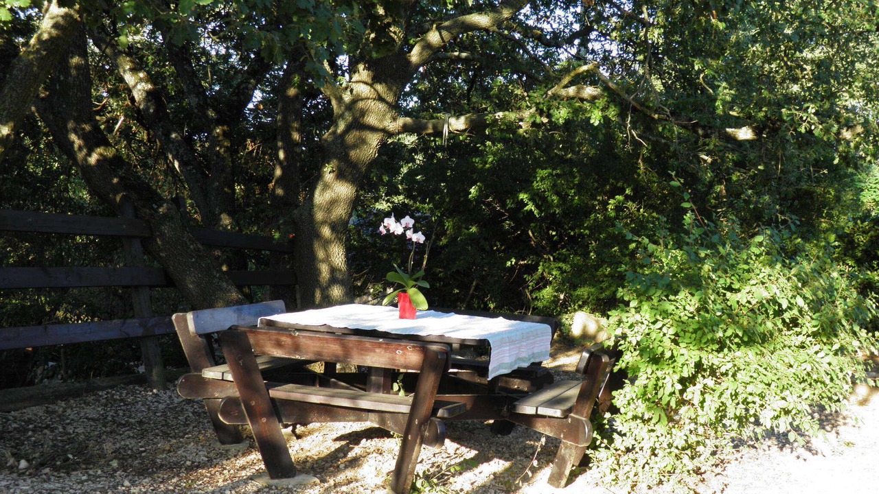 Photo of Outdoor in La Roque-sur-Ceze