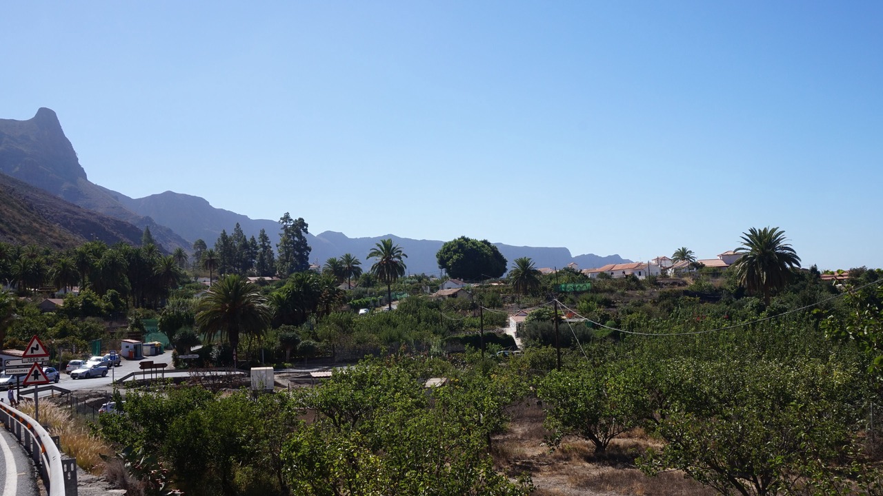 Photo of Others in San Bartolome de Tirajana