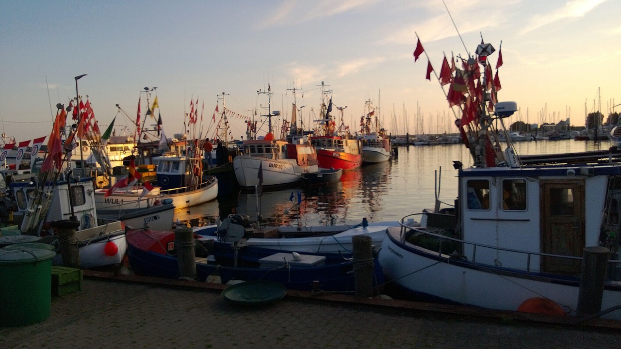 Photo of Others in Burg auf Fehmarn