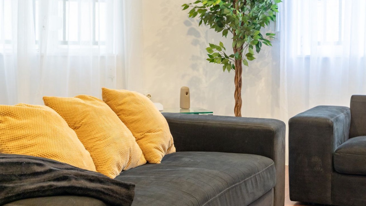 Photo of Livingroom in Sant Francesc