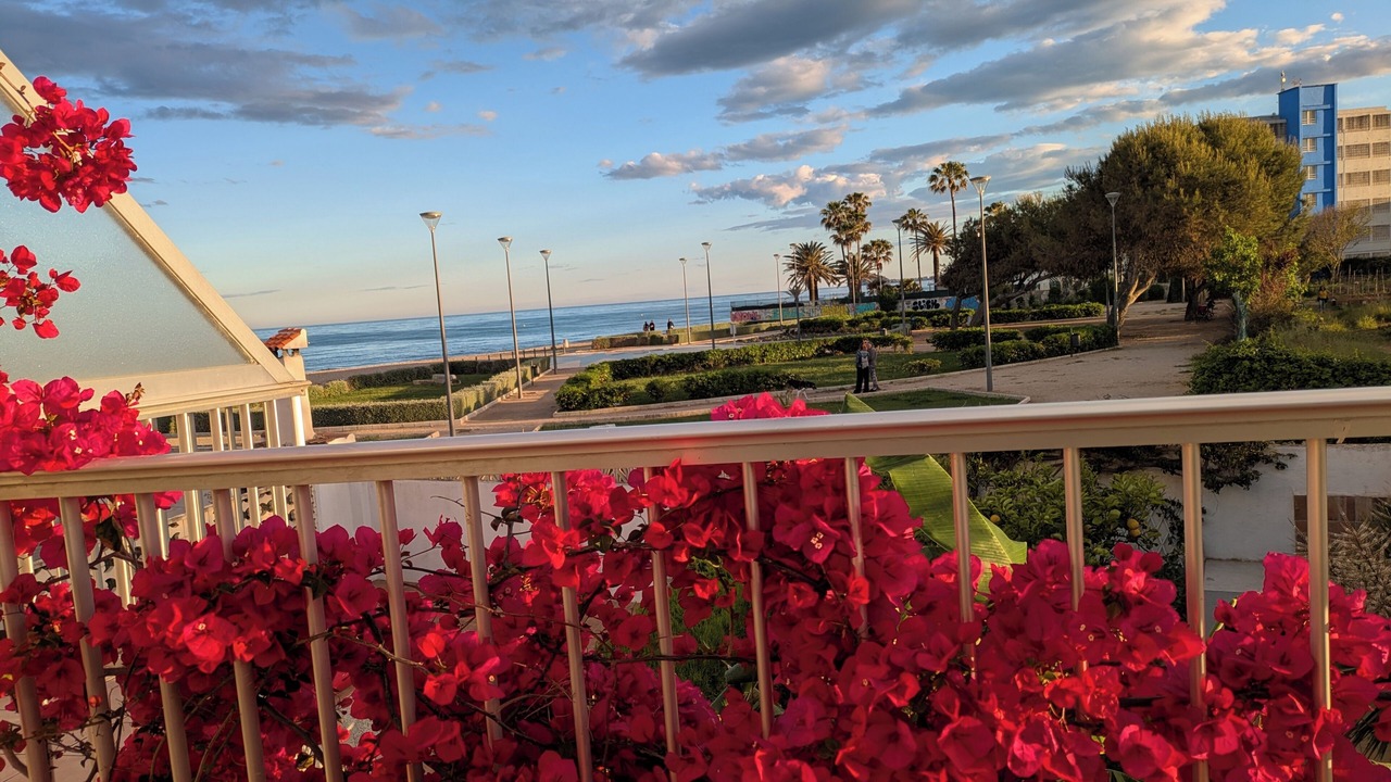 Photo of Outdoor in Benicarlo