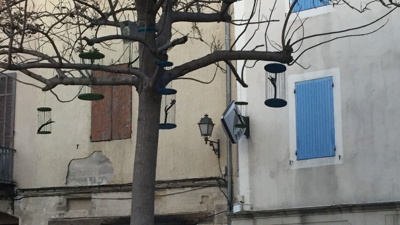 Photo of Others in Carpentras