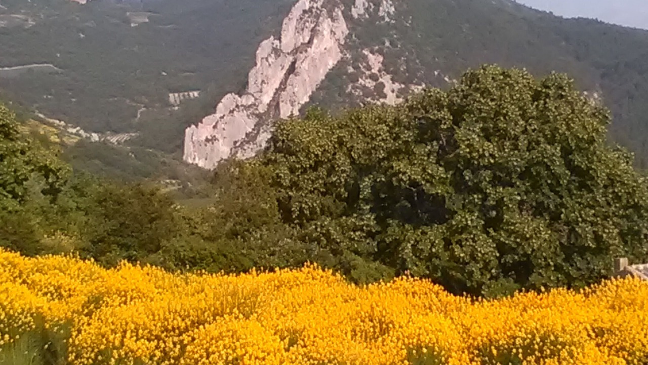 Photo of Outdoor in Saint-Sauveur-Gouvernet