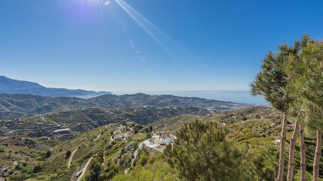 Photo of Others in Torrox