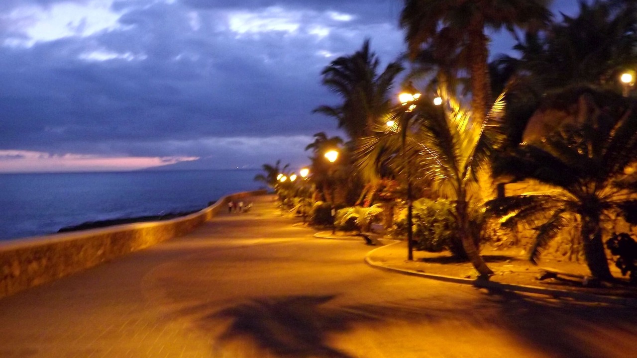 Photo of Others in Costa Adeje