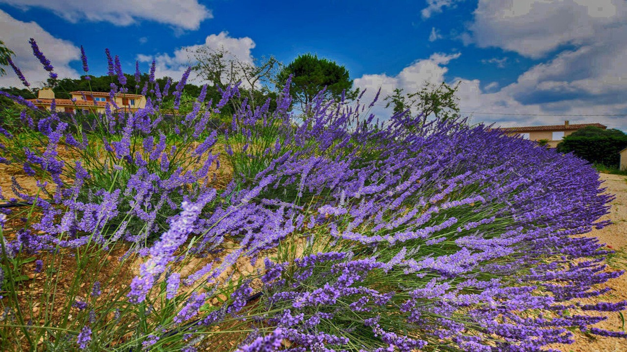 Photo of Outdoor in Cadenet