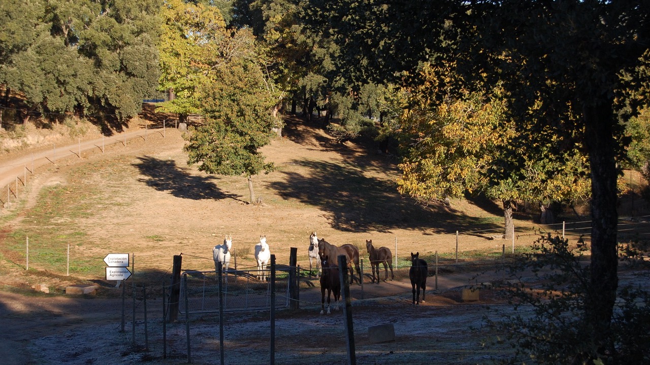 Photo of Outdoor in Fuenteheridos