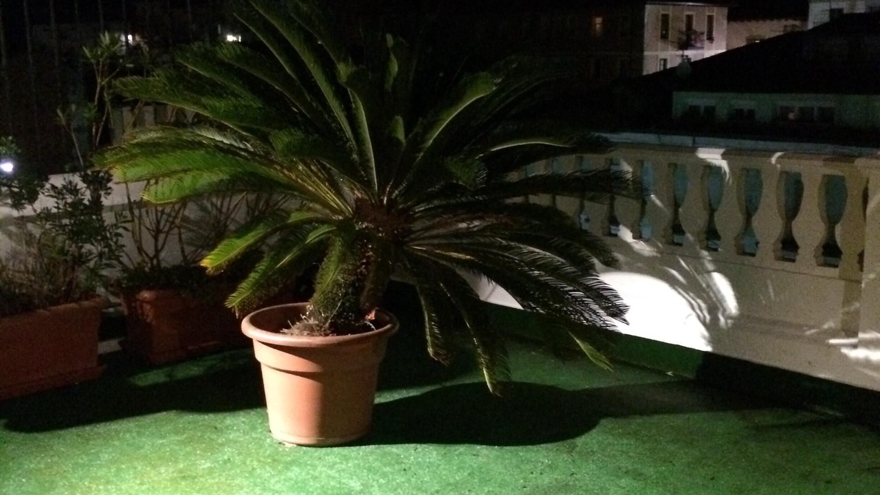 Photo of Outdoor in Laredo