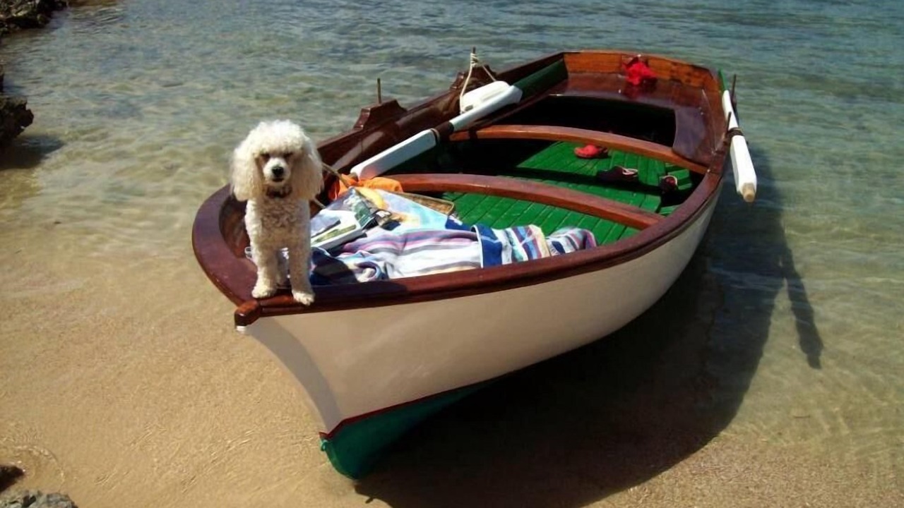 Photo of Others in Portocolom