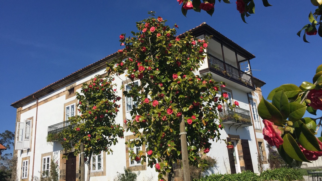 Photo of Outdoor in Sobremazas