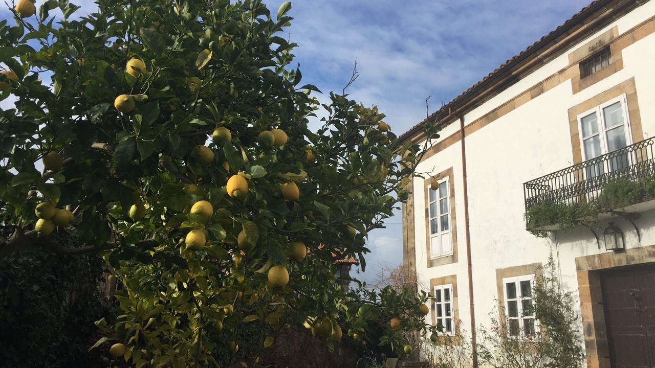 Photo of Outdoor in Sobremazas