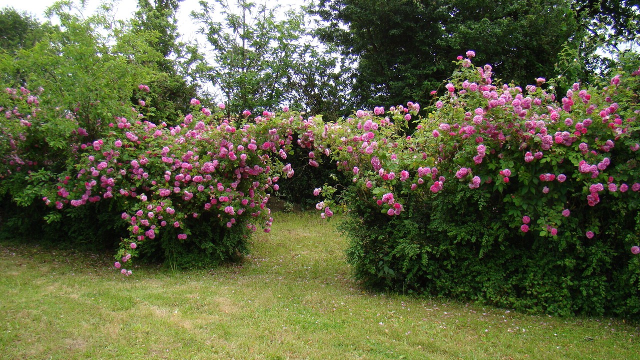 Photo of Outdoor in Monterroso