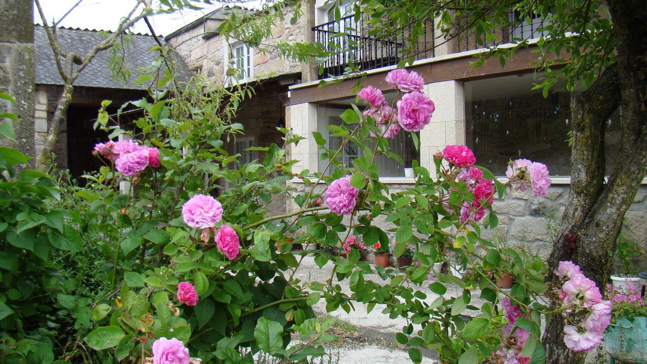 Photo of Outdoor in Monterroso