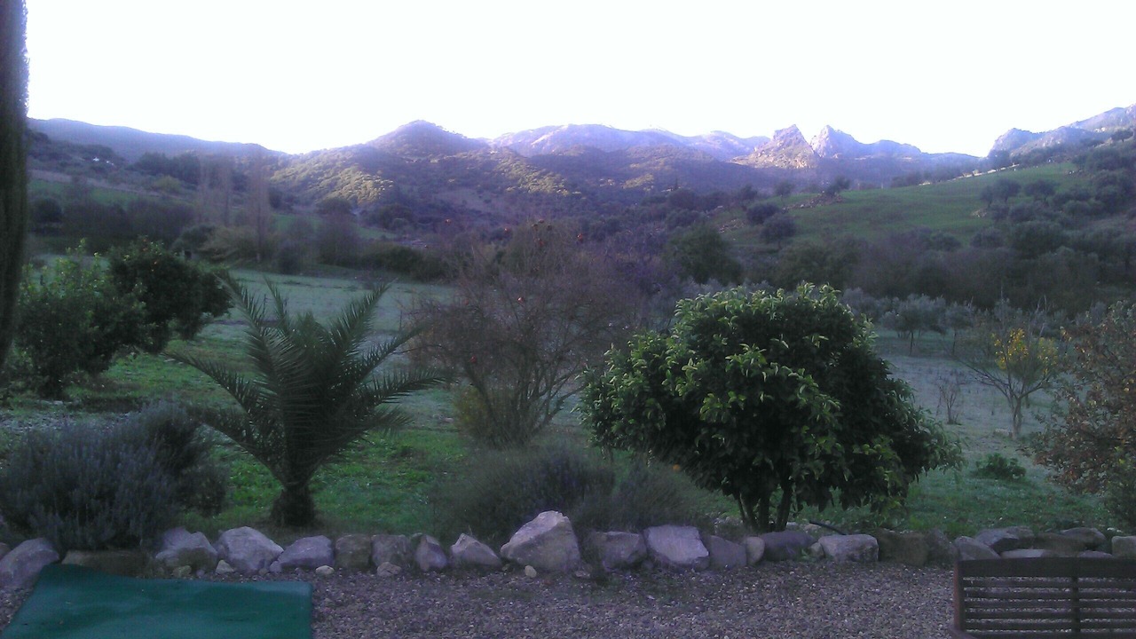 Photo of Others in Grazalema