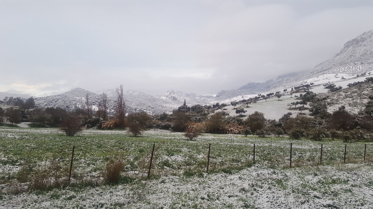 Photo of Others in Grazalema