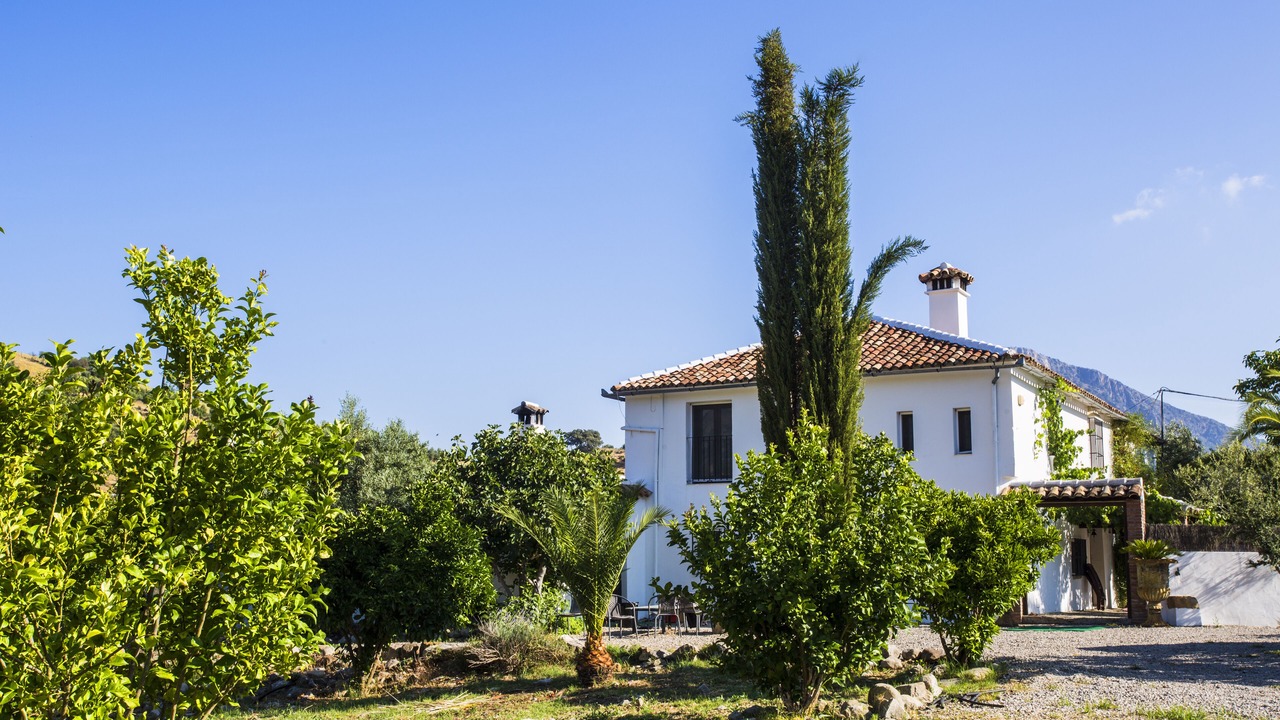Photo of Others in Grazalema