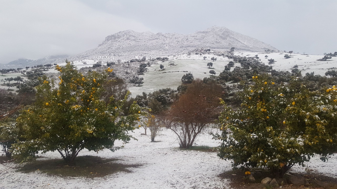 Photo of Others in Grazalema