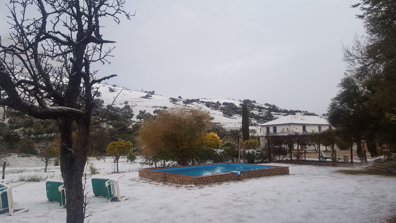 Photo of Others in Grazalema